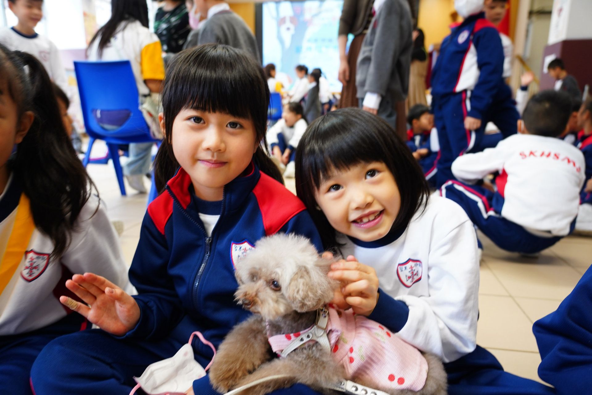 「守護動物，由我做起」~「動物守護社區大使計劃」到校講座活動