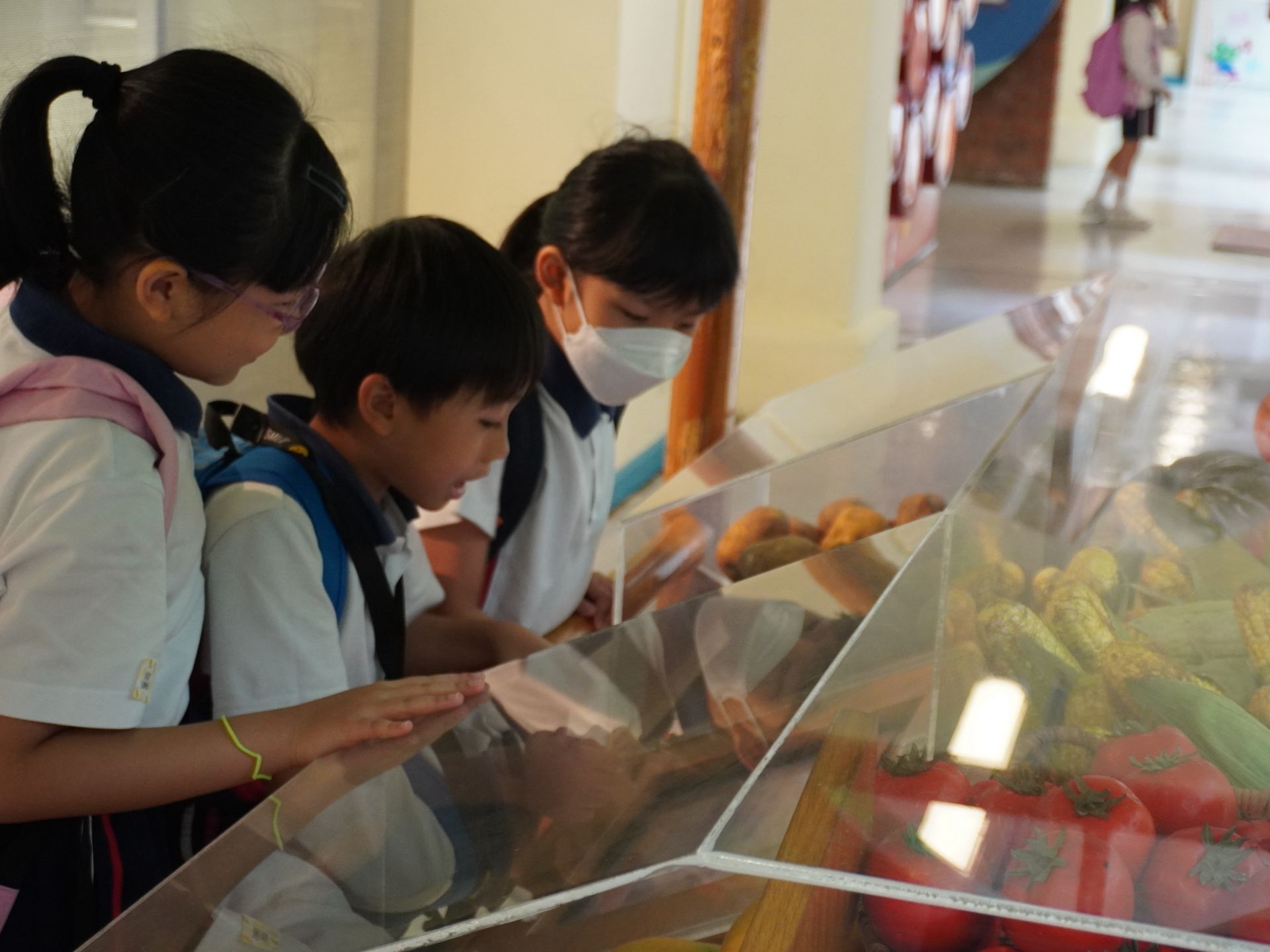 二年級試後參觀日 - 衛生教育展覽及資料中心