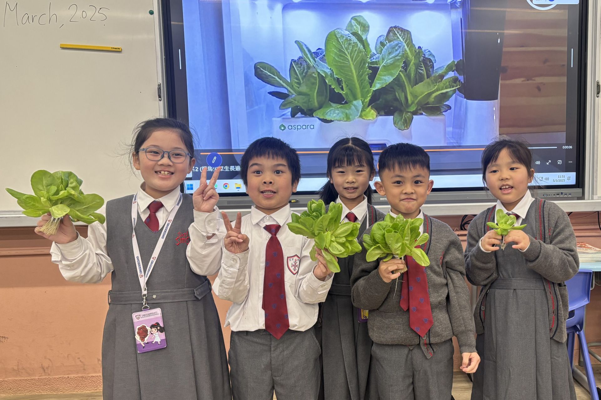 小一種植體驗~羅馬生菜