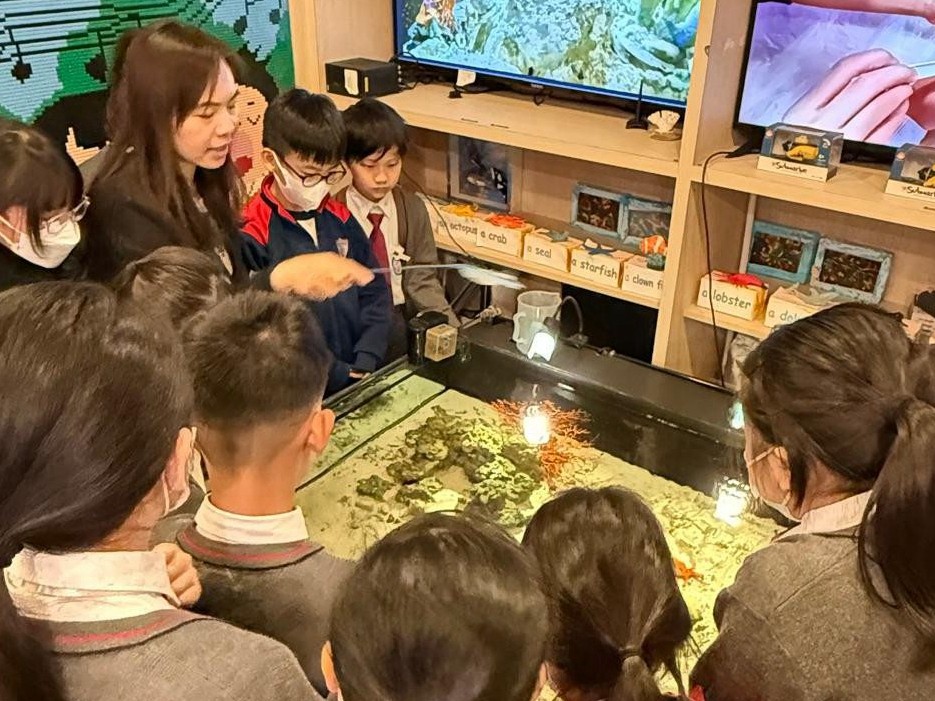 常識科 - 三年級海洋生物的認識及體驗