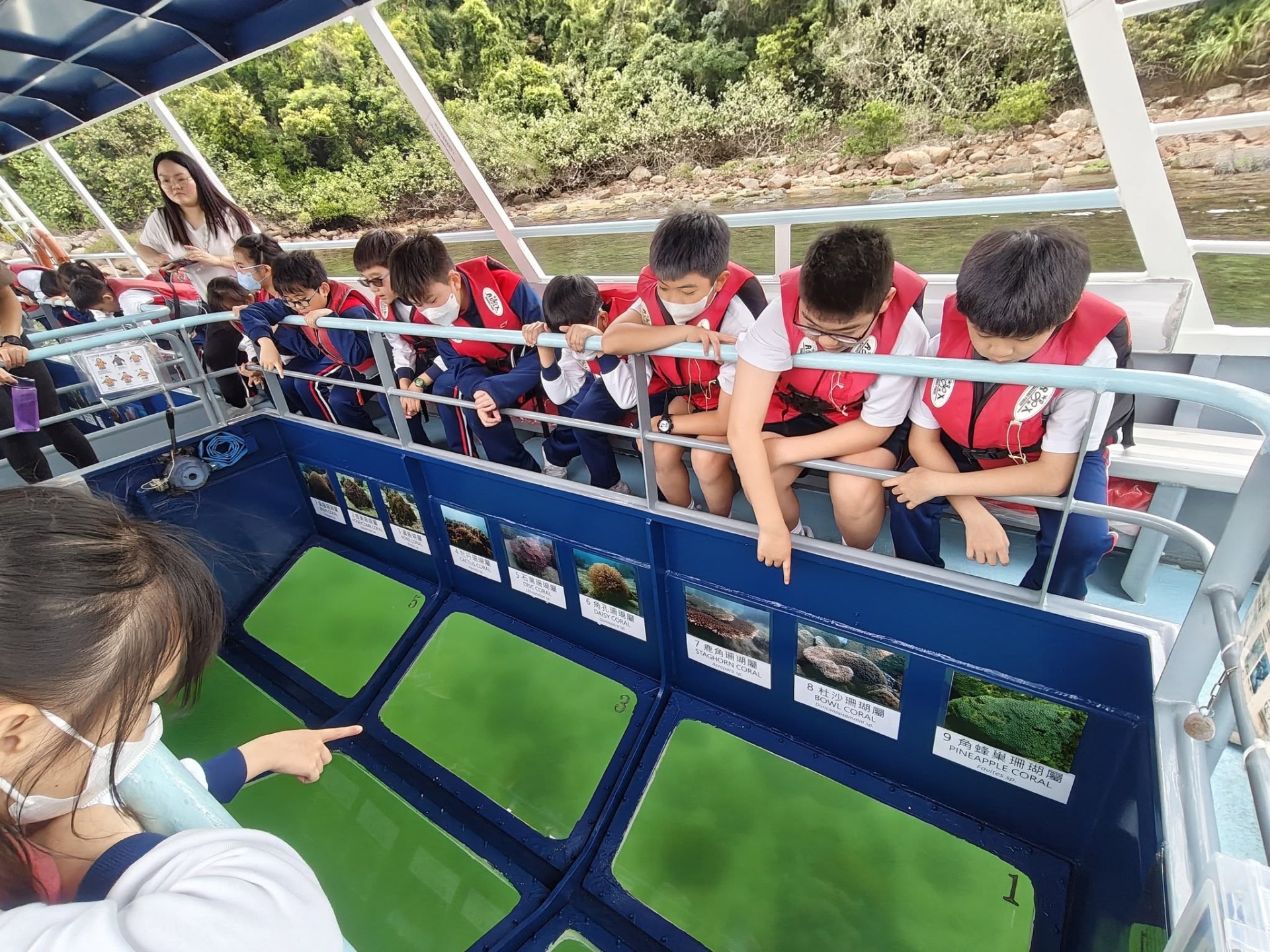 海下灣珊瑚探索之旅