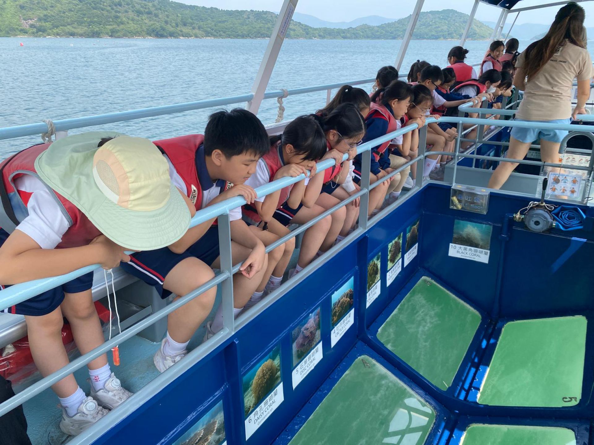 參觀海下灣 - 珊瑚探索之旅